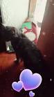 Profile Picture of   Silvia Velasquez... (@silviavelasquez38) on Tiktok