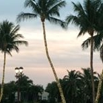 Profile Picture of lauriepine (@lauriepine) on Instagram