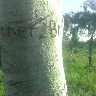 Profile Picture of Daniel Valiente Brau (@Abner2Brau) on Twitter