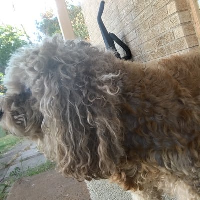 Profile Picture of Michael Dawkins (@mike3621) on Twitter