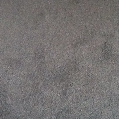 Profile Picture of Fred (@luci_oates) on Twitter