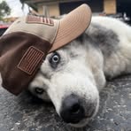 Thomas Bonnas - Facebook Profile Picture of Thomas Bonnas (@Thomas-Bonnas) on Facebook