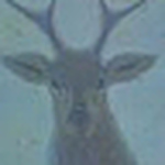 Profile Picture of Paul Robles (@paul robles) on Flickr