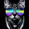 Profile Picture of Brendan Mulhall (@@brendanmulhall) on Tiktok