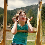 Profile Picture of Colleen Morrissey (@colleen morrissey) on Flickr