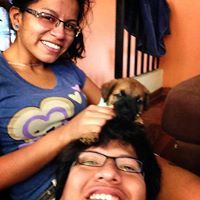 Profile Picture of Victor Zavala Zegarra (@vhzz) on Pinterest