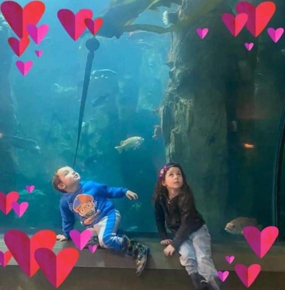 Profile Picture of Debbie Hobby (@debbiehobby451) on Poshmark