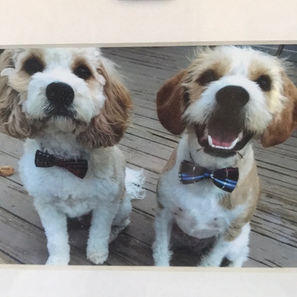 Cindy Lapeer - Poshmark Profile Picture of Cindy Lapeer (@clapeer) on Poshmark