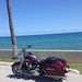 Profile Picture of Gordon Hummel (@ghummel0325) on Pinterest