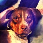 Hillary Stark - Instagram Profile Picture of Hillary Stark (@artofstarkness) on Instagram