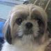 Profile Picture of Junette Enos (@Junette-Enos) on Facebook