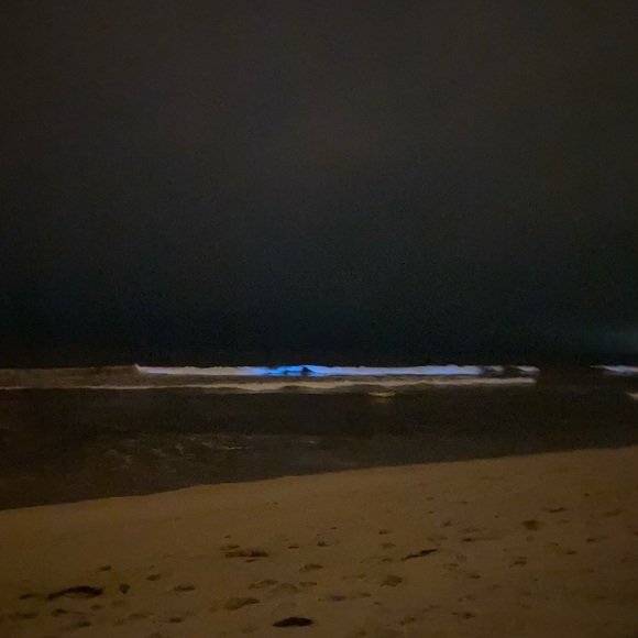 Profile Picture of Bianca Estevez (@bianca_estevez) on Poshmark