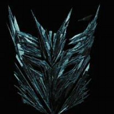 Profile Picture of Jordan O'Brien (@buddy_jordan) on Twitter