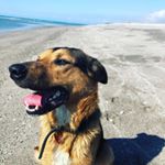 Profile Picture of brooke jared collier (@brookeyboy123) on Instagram