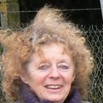 Profile Picture of Colette Marchant (@colettemarchant2014) on Instagram