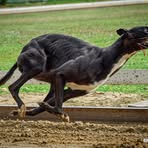 Profile Picture of János Dunai (@janos.dunai.18) on Facebook