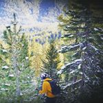 Alex Lefkowitz - Instagram Profile Picture of Alex Lefkowitz (@zarko_lefkov) on Instagram