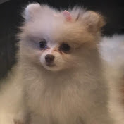 Profile Picture of Bryan Martins (@bryanmartins8797) on Youtube