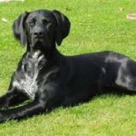 Profile Picture of Duncan Perry (@duncan.p) on Instagram