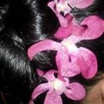 Myrna Mercado - Instagram Profile Picture of Myrna Mercado (@myrna.mercado.963) on Instagram