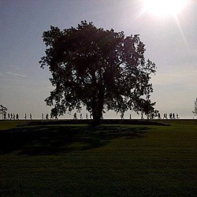 Profile Picture of Simon A. Crow (@sman66922) on Twitter