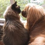 Profile Picture of Stacie Copeland🌴 (@40roan) on Instagram