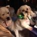 Profile Picture of Shirley Kelley (@shirley.kelley.7587370) on Facebook