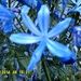 Profile Picture of Josifina Snow (@josifinasnow) on Pinterest