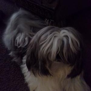 Profile Picture of Noel Zamora (@noelzamora926) on Twitter