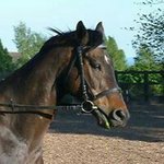Profile Picture of Joanne Matthews (@montymoo2010) on Instagram