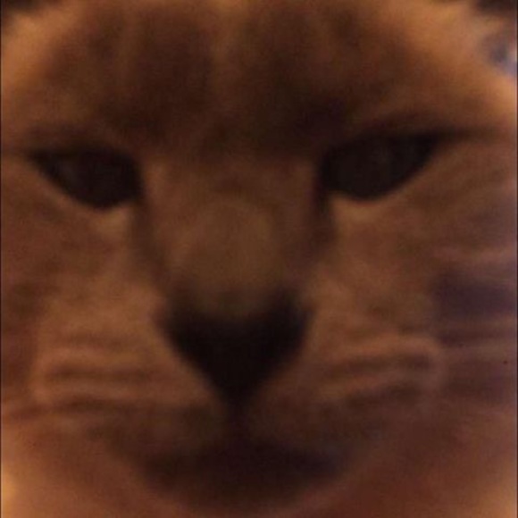 Profile Picture of Daniel Hennessey (@danielhenn) on Poshmark