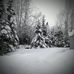 Profile Picture of Shelly Barger (@shelly.barger.1238) on Facebook