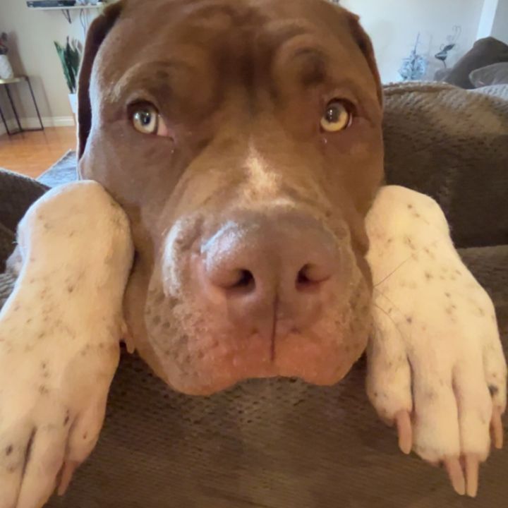 Profile Picture of jeremiah_.roberts (@jeremiah_.roberts) on Tiktok