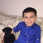 Profile Picture of Steve Carrera (@carrera1691) on Instagram