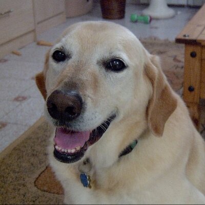 Profile Picture of Max (@WilloughbyMax) on Twitter