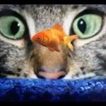 Larry Caballero - Instagram Profile Picture of Larry Caballero (@caballero.larry) on Instagram