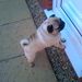 Profile Picture of richard slade (@rslade20011) on Pinterest
