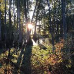 Profile Picture of James-Allen McPheeters (@mcpja) on Instagram