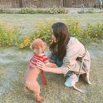 Profile Picture of 芃 • のき👩🏻 (@peng_hsuan_) on Instagram
