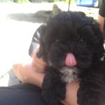 Profile Picture of Eskild Scott Becher (@eskildscott) on Instagram