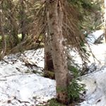 Profile Picture of Steven (@steven.mullins1) on Instagram