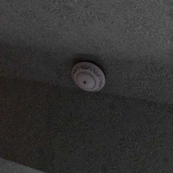 Profile Picture of Pingo Pongo (@gimmethat45) on Poshmark