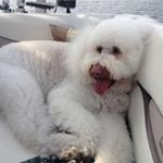 Profile Picture of Lynn  Fiedor (@lynnfiedor) on Instagram