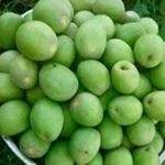 Profile Picture of De Don Robert (@dedonrobert) on Instagram