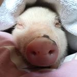 Profile Picture of rudy (@rudyconde12) on Instagram