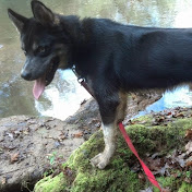 Profile Picture of Cody Greer (@codygreer690) on Youtube