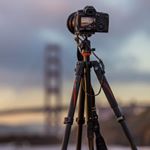 Profile Picture of Becker (@bree_becker91) on Instagram