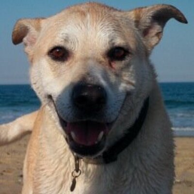 Profile Picture of Michael Prothero (@mprothero02) on Twitter