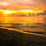 Herbert Mura - Facebook Profile Picture of Herbert Mura (@Herbert-Mura) on Facebook