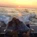 Profile Picture of Paula Karcher (@paula.karcher.3) on Facebook